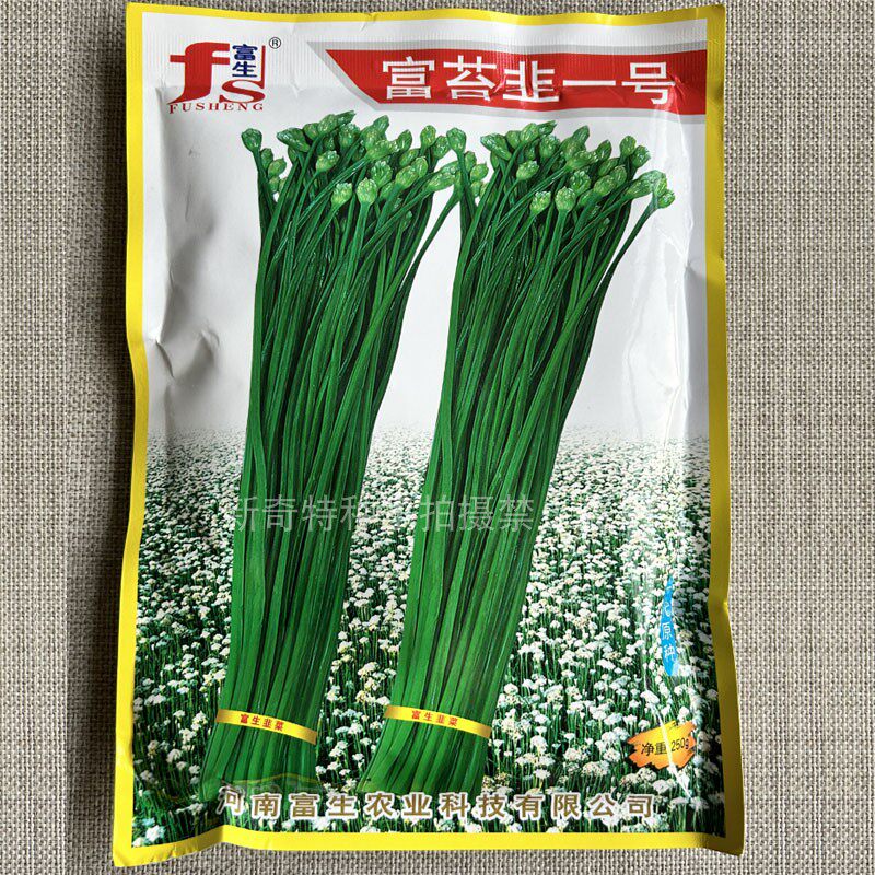 富生四季韭苔种子富苔韭一号叶色深绿粗壮鲜嫩优质高产韭菜苔种籽