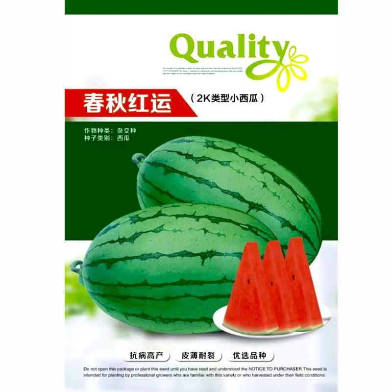 春秋红运2K类型小新瓜种子皮薄红瓤耐裂200粒礼品小西瓜基地品种