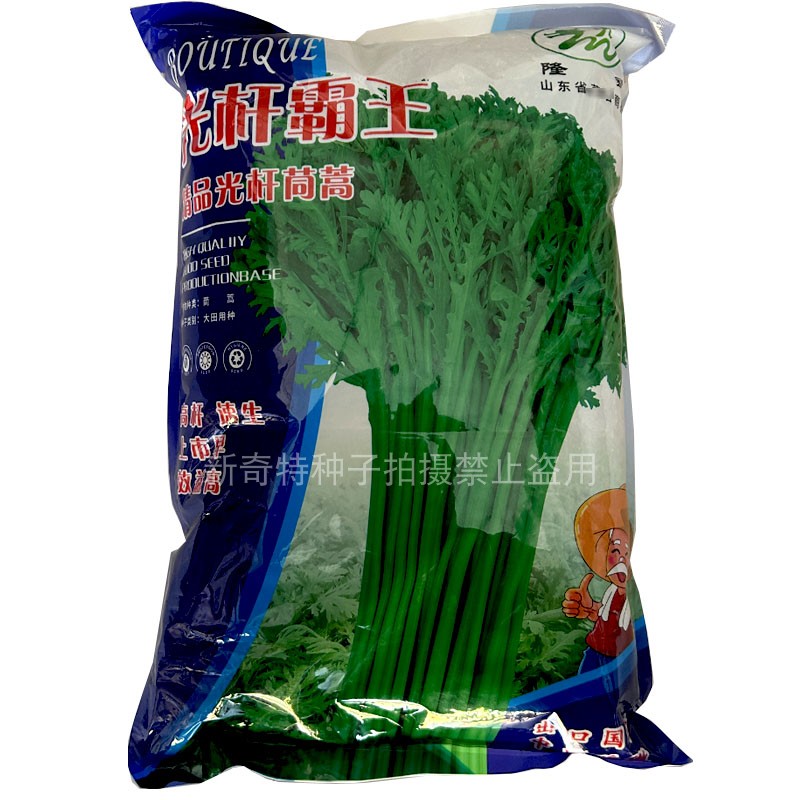 光杆霸王光杆茼蒿种子5斤高杆速生小叶皇帝菜种籽 青绿杆茼蒿