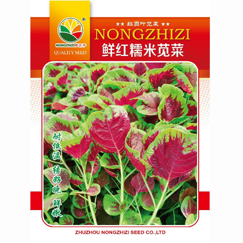 红苋菜种子鲜红糯米农之子红圆叶苋菜籽汗菜500g耐低温高温鲜嫩苋