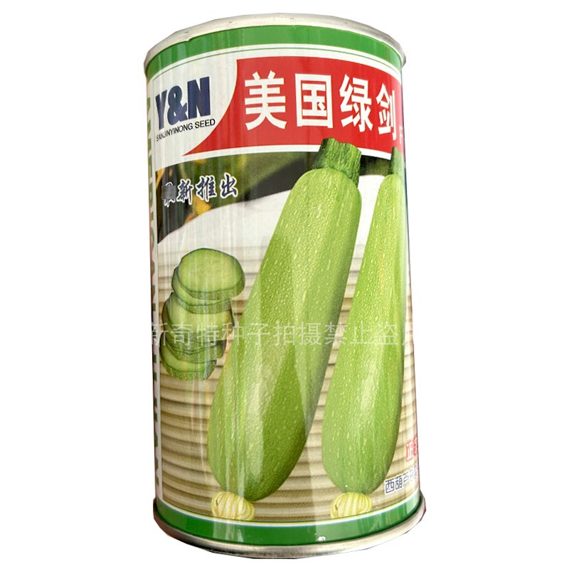 美国绿剑西葫芦种子早熟耐高温 抗病高产春露天保护地蔬菜种子
