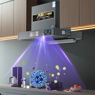 抽油烟机厨房小型油烟机小户型小尺寸公寓租房顶吸式 700mm 600mm