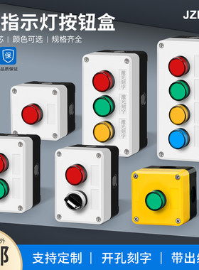 220V/380V红绿黄蓝指示灯按钮
