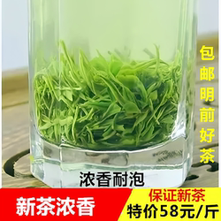 新茶永川新茶浓香新茶永川秀芽绿茶明前高山毛尖绿茶重庆特产