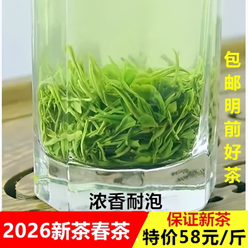 2026永川秀芽浓香毛尖绿茶新茶