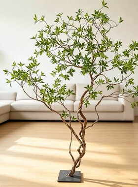 仿真绿植马醉木假植物高端装饰造景大型落地摆件橱窗景观布置组合
