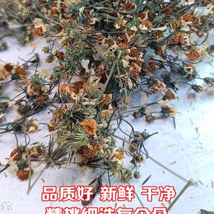 鬼针草干花 中药材野生鬼针草花茶中草药白花三叶鬼针草100朵装