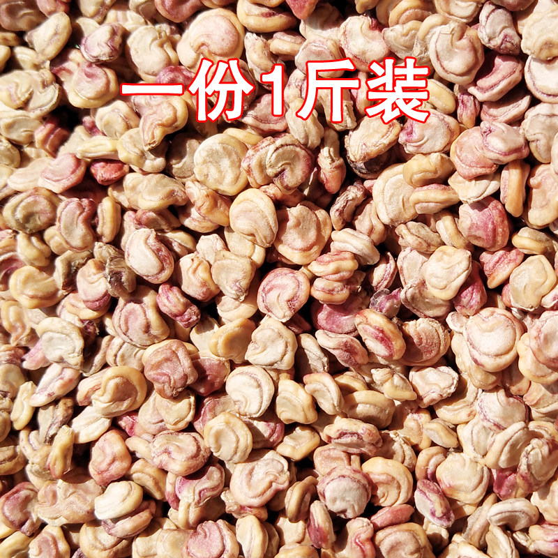 仙人掌果粒子 仙人掌种子  仙人掌苗  化妆品 提取 榨油 1斤装