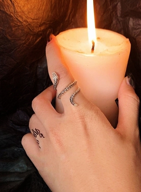 蛇形戒指女小众设计感精致银色蛇头指环冷淡风高级潮食指戒