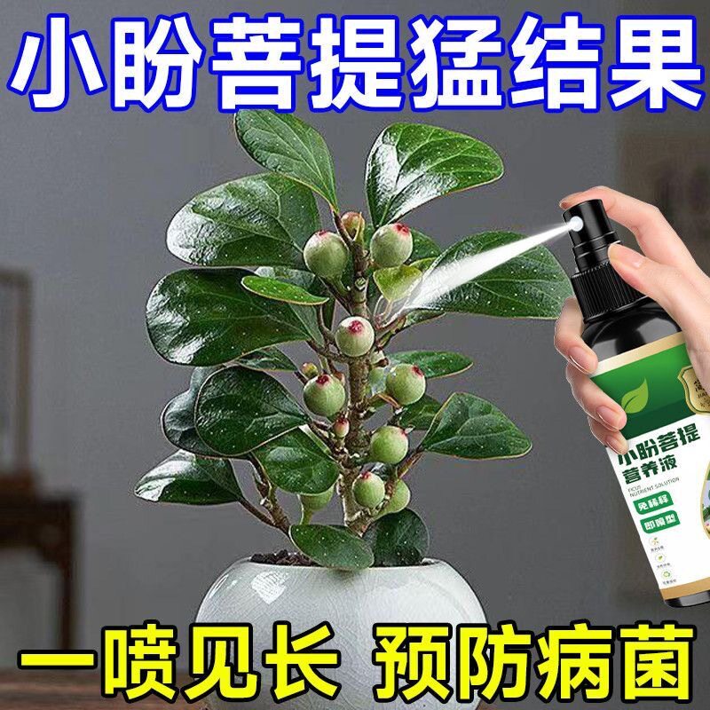 小盼菩提营养液防黄叶烂根绿叶促开花结果家用免稀释盆栽液体花肥