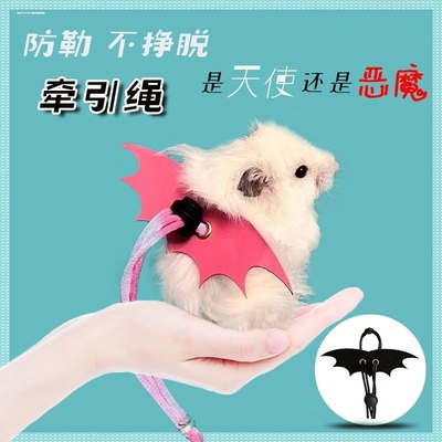 豚鼠荷兰猪牵引绳专用仓鼠松鼠兔子外出带溜宠物防挣脱牵引绳衣服