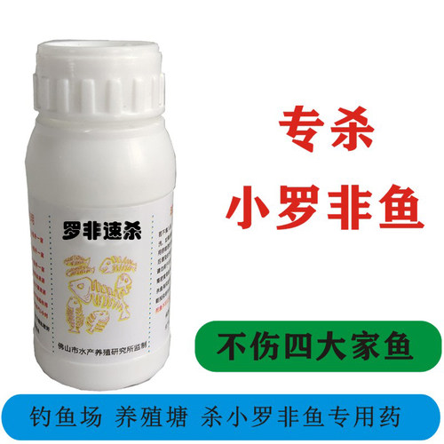 专杀小罗非鱼清罗飞鱼