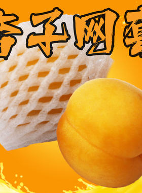 杏子专用网套网兜防震