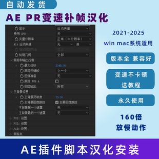 Pro Twixtor PR变速插件160倍超级慢动作视频变速补帧插件