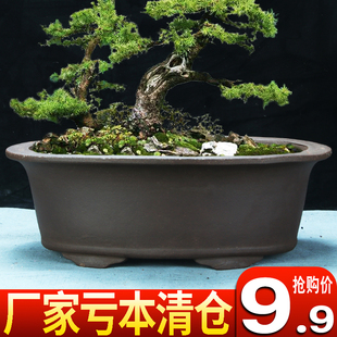 紫砂花盆特价 清仓花卉椭圆盆景盆树桩文竹多肉长方特大造景陶瓷盆