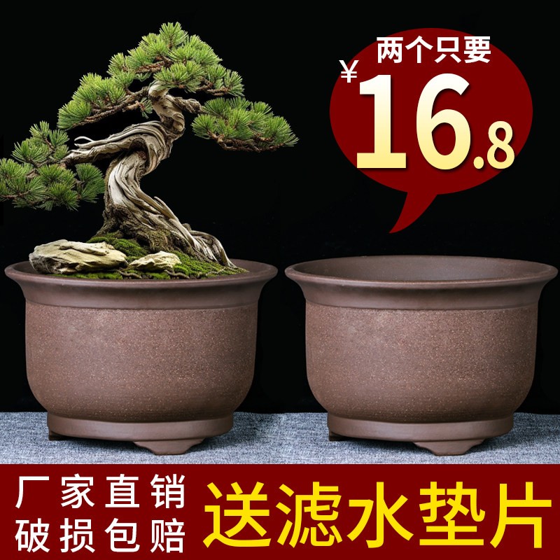 宜兴紫砂花盆大口径三角金钟特价清仓老桩绿植花卉专用陶瓷盆景盆图片