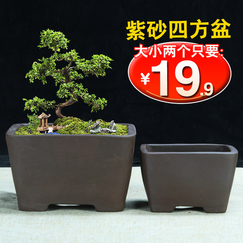 紫砂简约四方长方陶瓷盆景盆