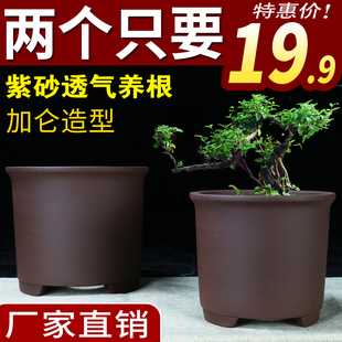 宜兴紫砂兰花盆圆口君子兰花盆专用中小筒盆景盆栽室内阳台陶瓷盆