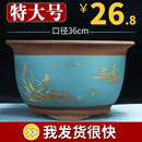 清仓绿植虎皮兰花盆景盆大号陶瓷兰花盆 特大三角金钟紫砂花盆特价