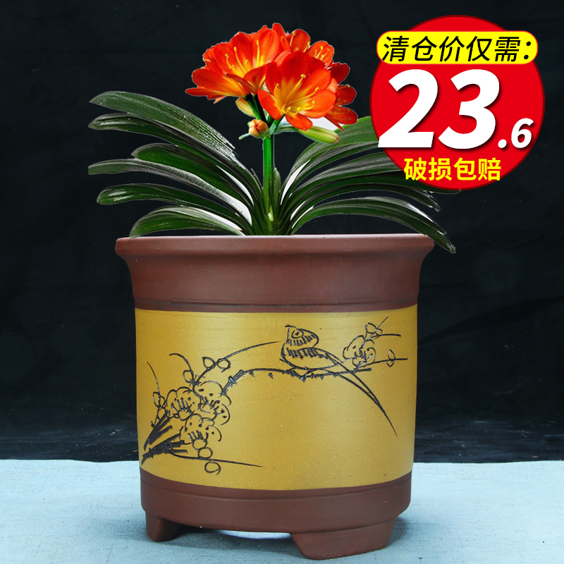 紫砂简约古典圆柱刻绘兰花盆