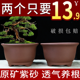 宜兴紫砂花盆室内阳台绿植种树金钟盆景盆中小圆形多肉小品陶瓷盆