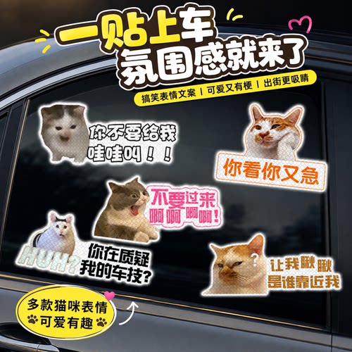 猫咪meme搞笑磁吸反光车尾贴