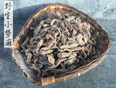 纯天然野生小天麻 四川平武野生小梦麻 特级野生小天麻100g