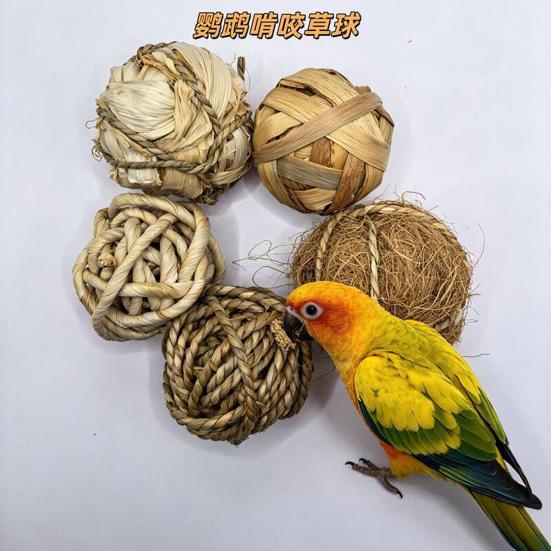 草球仓鼠鸟通用啃咬解闷