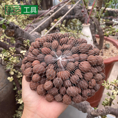 包邮 陶粒袋子网兜装 陶粒花盆垫底陶粒收纳尼龙网袋袋子