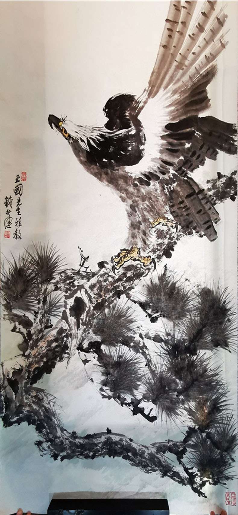 朵云轩字画 钱行健 松鹰图 镜片 名家手绘国画花鸟
