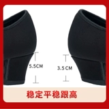 Профессиональная форма для боди обуви для обуви взрослой танце