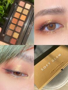美国ABH Anastasia哑光眼影盘红棕丝绒欧美Soft Glam大地色系百搭