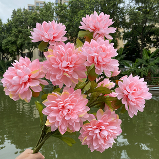 仿真3头波兰菊 大丽花绢花婚庆插花装饰婚礼堂昙花秋菊大礼花外贸