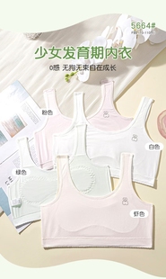 纤尔姿少女内衣一阶段学生背心青春期女孩发育内衣拍一发二件5664