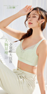 三世情女士文胸轻薄纸片杯薄杯清凉显瘦BC通杯透气2806断码特价