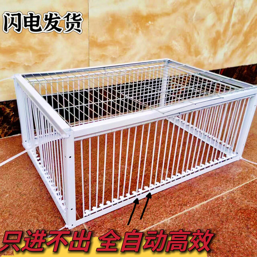 独家新款天落笼只进不出鸽子笼加密撞门笼收鸽笼自动收鸽神器包邮