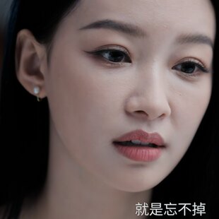 欧洲风过留痕孙怡丹青同款珍珠耳钉女轻奢高级感小众设计气质耳饰