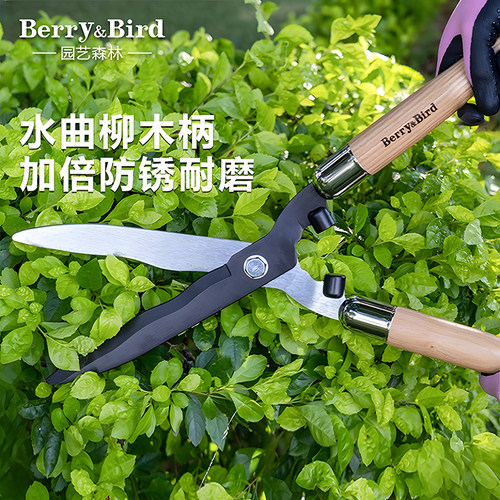 园艺森林绿篱剪草坪修剪