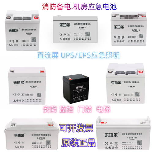 乐珀尔蓄电池直流屏电池EPS