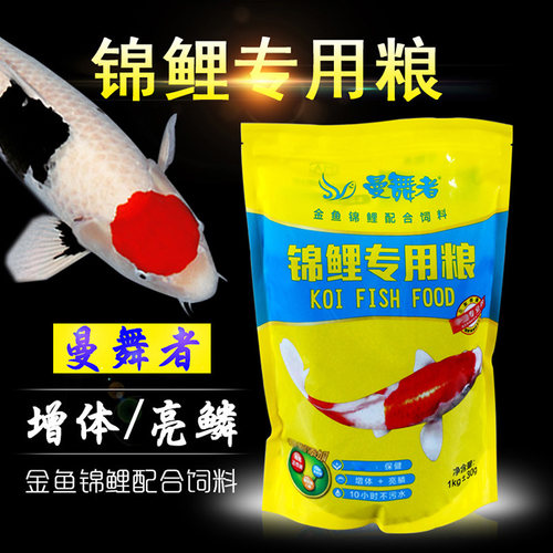 三友曼舞者锦鲤专用中粒不染水