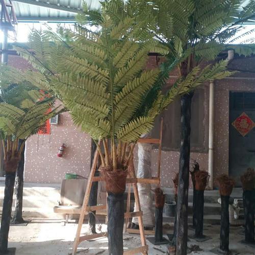 工厂定制仿真桫椤树恐龙馆绿化生态玻璃钢桫椤树造景工程娑罗树