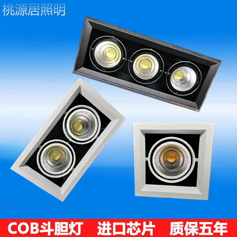 led斗膽燈雙頭射燈單頭三頭7w12w20w格柵燈嵌入式COB豆膽燈天花燈