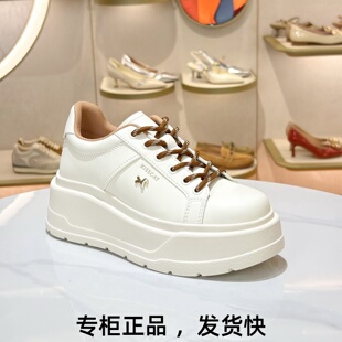KISSCAT接吻猫2026马年增高厚底板鞋系带休闲小白鞋女K76177A-50