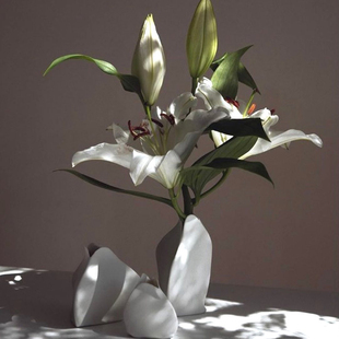 MY家 - 比利时 Serax 设计师 轻巧白瓷 异形 桌面花瓶摆件