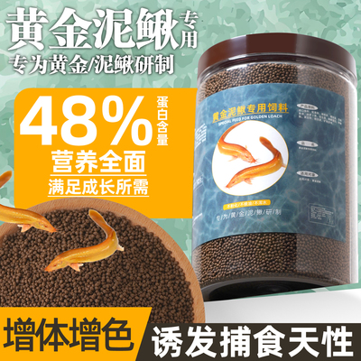 黄金鳅专用饲料高蛋白发色鱼粮