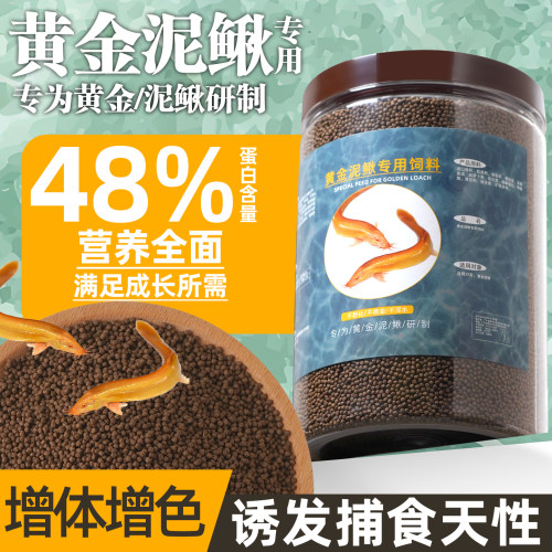 黄金鳅专用饲料高蛋白发色鱼粮