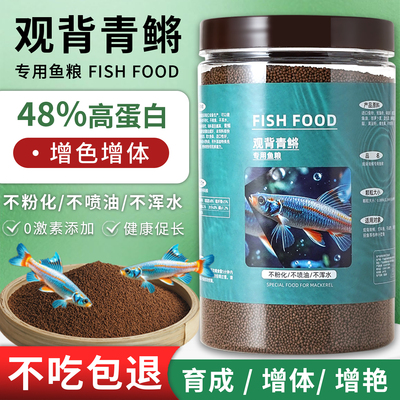观背青鳉专用鱼饲料高蛋白鱼粮