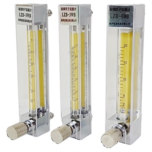 LZB min空气氮气氧气微小流量4WB气体流量计 3WB玻璃转子流量计ml