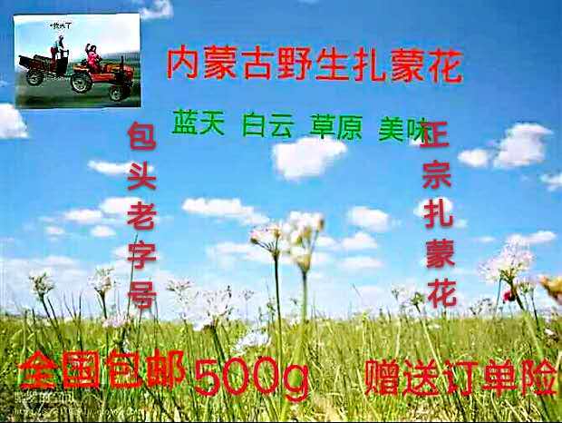 内蒙古特产野生扎蒙蒙花500g摘麻山葱花泽蒙麻麻花炝锅调料韭菜花
