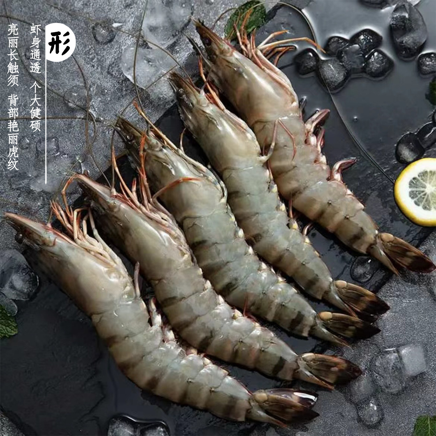 【姐夫2】活冻黑虎虾500g/盒4050规格到手3斤国产黑虎虾速冻